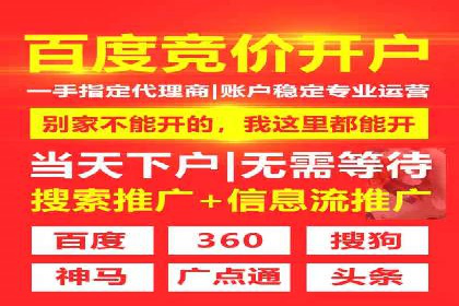 竞价广告的投放策略与效果评估——以一成功企业为例